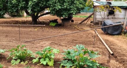 La Valette-du-Var Terrain à bâtir - 2379325-11079annonce420250901hGcry.jpeg Maisons Open