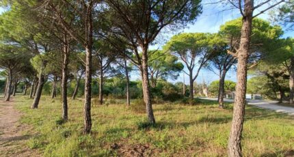 Puget-sur-Argens Terrain à bâtir - 2260134-9911annonce220250904WKJ8S.jpeg Maisons Open