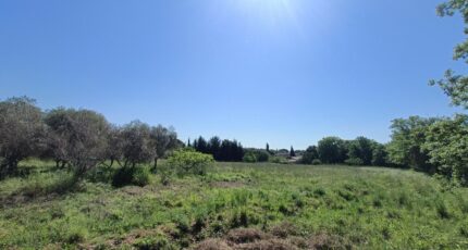 Puget-sur-Argens Terrain à bâtir - 2260165-9911annonce120250904ZICRe.jpeg Maisons Open