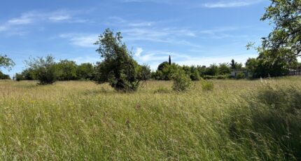 Montastruc-la-Conseillère Terrain à bâtir - 2259606-11356annonce320250903HDp6u.jpeg Maisons Open