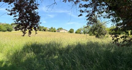 Montastruc-la-Conseillère Terrain à bâtir - 2259606-11356annonce420250903iNL0E.jpeg Maisons Open