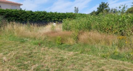 Lapeyrouse-Fossat Terrain à bâtir - 2260113-5604annonce320250904FMTfv.jpeg Maisons Open