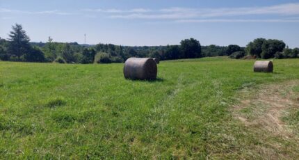 Lapeyrouse-Fossat Terrain à bâtir - 2260113-5604annonce420250904bCv0H.jpeg Maisons Open