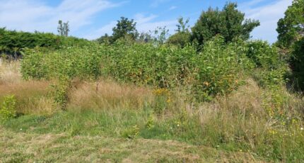 Lapeyrouse-Fossat Terrain à bâtir - 2260113-5604annonce5202509045za22.jpeg Maisons Open