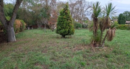 Tournefeuille Terrain à bâtir - 2261154-9555annonce120250905dy2Mo.jpeg Maisons Open