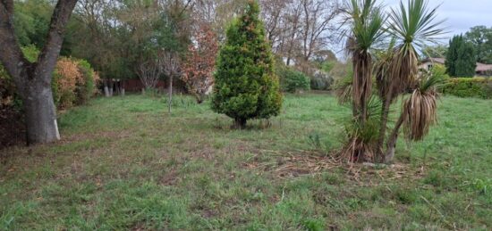 Terrain à bâtir à Tournefeuille, Occitanie