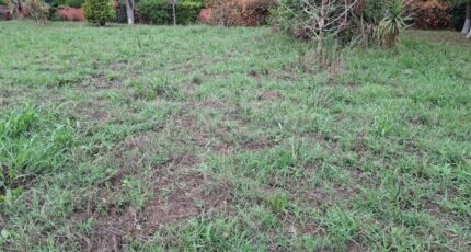 Tournefeuille Terrain à bâtir - 2261154-9555annonce220250905Ua1mx.jpeg Maisons Open