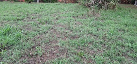 Terrain à bâtir à , Haute-Garonne