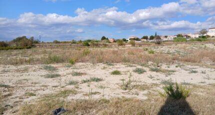 Loupian Terrain à bâtir - 2261994-11040annonce120250905QRrMr.jpeg Maisons Open