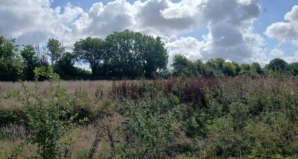 Genneville Terrain à bâtir - 2262187-11563annonce220250905y9mZk.jpeg Maisons Open