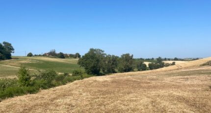 Villefranche-de-Lauragais Terrain à bâtir - 2261302-11450annonce120250905l7ntv.jpeg Maisons Open