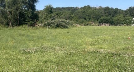 Gardouch Terrain à bâtir - 2261869-11450annonce120250905pbZNW.jpeg Maisons Open