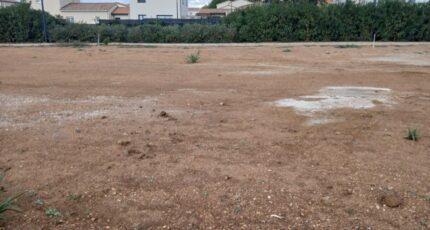 Pomérols Terrain à bâtir - 2264014-11040annonce120250908ybCiT.jpeg Maisons Open