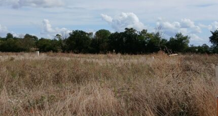 Frénouville Terrain à bâtir - 2264386-11563annonce220250908XCpCS.jpeg Maisons Open