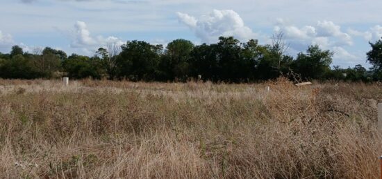 Terrain à bâtir à , Calvados