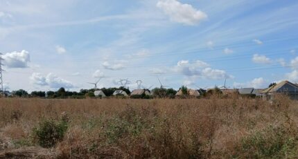 Frénouville Terrain à bâtir - 2264386-11563annonce320250908g6tp2.jpeg Maisons Open