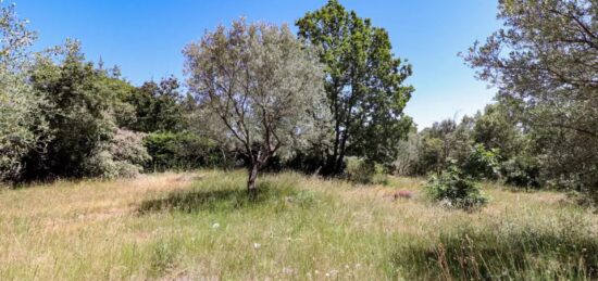Terrain à bâtir à Flayosc, Provence-Alpes-Côte d'Azur