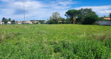 Lagrave Terrain à bâtir - 2267806-11178annonce220250911MN9vV.jpeg Maisons Open