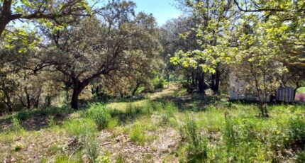 Rians Terrain à bâtir - 2271752-11137annonce320250512cHZX6.jpeg Maisons Open