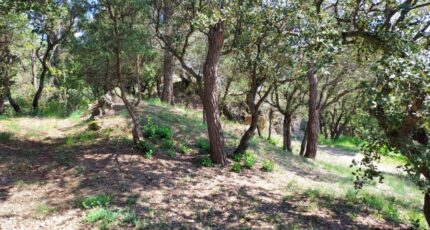 Rians Terrain à bâtir - 2271752-11137annonce420250512pWyof.jpeg Maisons Open