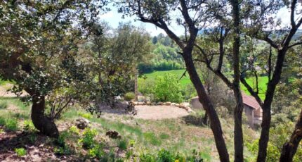 Rians Terrain à bâtir - 2271752-11137annonce5202505124fcgw.jpeg Maisons Open