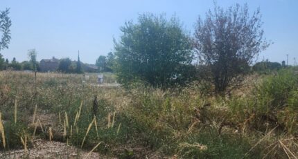 Lescure-d'Albigeois Terrain à bâtir - 2287903-11178annonce420250930u8iaE.jpeg Maisons Open