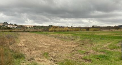 Puisserguier Terrain à bâtir - 2290984-11018annonce220251002IuqoE.jpeg Maisons Open