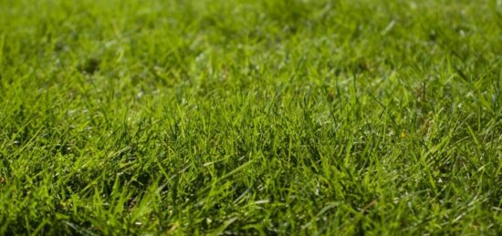 Terrain à bâtir à Venon, Normandie