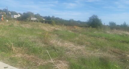 Castelginest Terrain à bâtir - 2289846-5202annonce320251001vxQ4z.jpeg Maisons Open