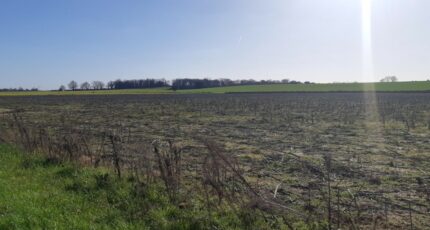 Merville Terrain à bâtir - 2290106-5202annonce120251001SObwN.jpeg Maisons Open