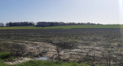 Merville Terrain à bâtir - 2290106-5202annonce220251001MfGnP.jpeg Maisons Open