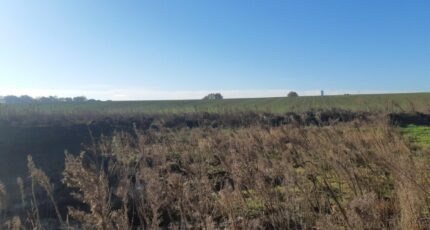 Merville Terrain à bâtir - 2290106-5202annonce320251001rNbWW.jpeg Maisons Open