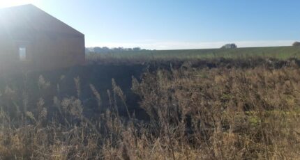 Merville Terrain à bâtir - 2290161-5202annonce320251001ZS0aF.jpeg Maisons Open