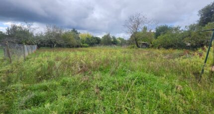 Lescure-d'Albigeois Terrain à bâtir - 2289862-11178annonce120251001dHfMO.jpeg Maisons Open