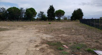 Marsillargues Terrain à bâtir - 2292866-11040annonce120251003tdJmZ.jpeg Maisons Open