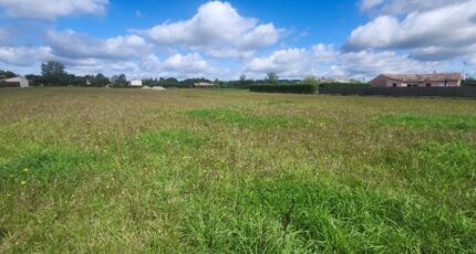 Saint-Gauzens Terrain à bâtir - 2293210-11178annonce120251003cS33D.jpeg Maisons Open