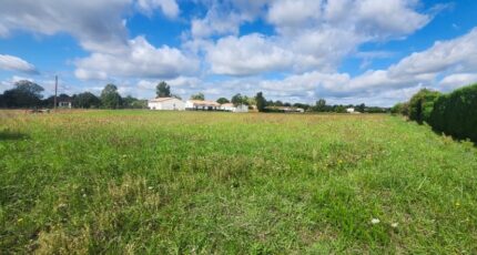 Saint-Gauzens Terrain à bâtir - 2293210-11178annonce420251003xEf0U.jpeg Maisons Open