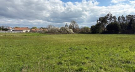 Villeneuve-en-Retz Terrain à bâtir - 2259180-11110annonce320250903ymWXX.jpeg Maisons Open