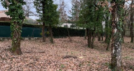 Ronel Terrain à bâtir - 2293644-2684annonce120251003o30X2.jpeg Maisons Open