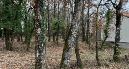 Ronel Terrain à bâtir - 2293644-2684annonce220251003gSnhk.jpeg Maisons Open