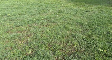 Aucamville Terrain à bâtir - 2293832-11356annonce1202510030KH5u.jpeg Maisons Open