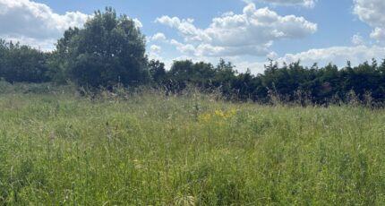 Aucamville Terrain à bâtir - 2293832-11356annonce320251003VMLb0.jpeg Maisons Open