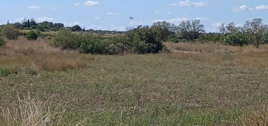 Terrain à bâtir à Pinet, Occitanie
