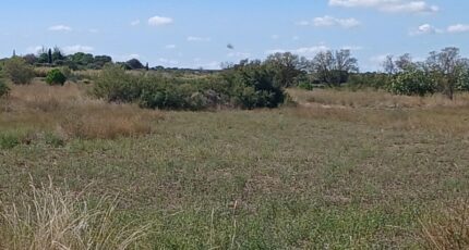 Pinet Terrain à bâtir - 2296653-11040annonce120251007dCS6M.jpeg Maisons Open