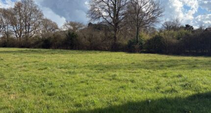 Chaumes-en-Retz Terrain à bâtir - 2296117-11110annonce320251007NbP6t.jpeg Maisons Open