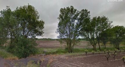 Lézignan-la-Cèbe Terrain à bâtir - 2259977-11507annonce120250904hb0dN.jpeg Maisons Open