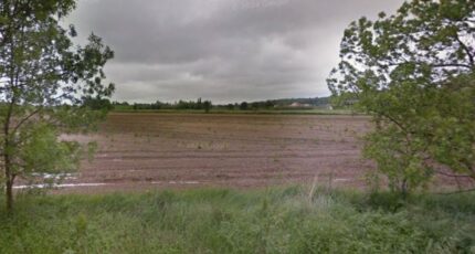 Lézignan-la-Cèbe Terrain à bâtir - 2259977-11507annonce220250904ptdAu.jpeg Maisons Open