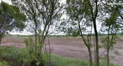 Lézignan-la-Cèbe Terrain à bâtir - 2259977-11507annonce320250904op55s.jpeg Maisons Open