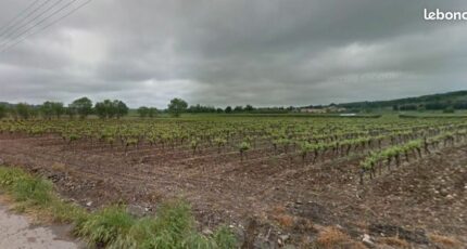 Lézignan-la-Cèbe Terrain à bâtir - 2259977-11507annonce420250904vmJX8.jpeg Maisons Open