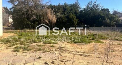 Plaissan Terrain à bâtir - 2260162-11507annonce120250904NAAzT.jpeg Maisons Open